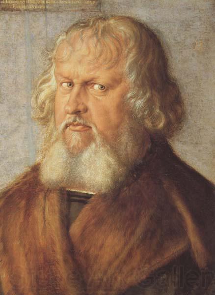 Albrecht Durer Hieronymus Holzschuher (mk45) Germany oil painting art